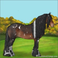 Horse Color:White Spotted Brown Varnish 