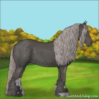 Horse Color:Silver Black 
