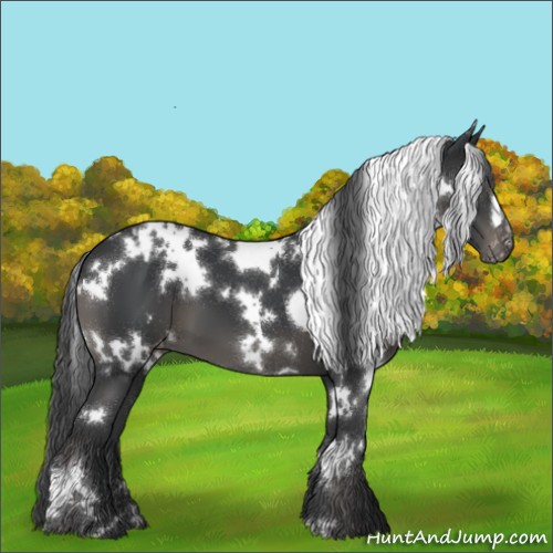 Horse Color:White Spotted Black Varnish 
