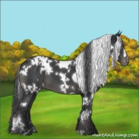 Horse Color:White Spotted Black Varnish