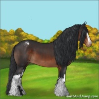 Horse Color:White Spotted Brown Varnish 