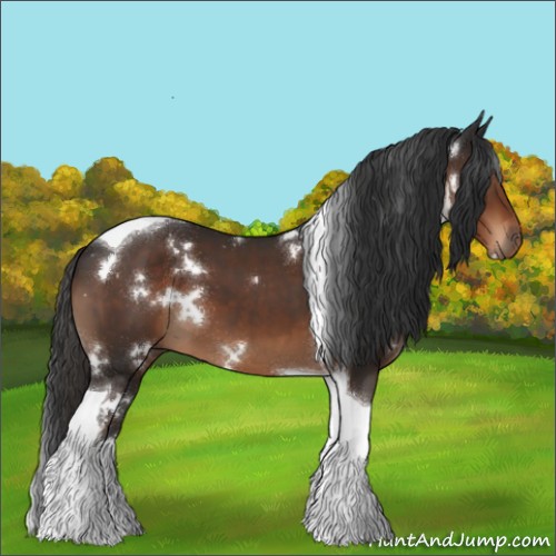 Horse Color:White Spotted Liver Chestnut Tobiano