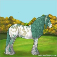 Horse Color:Watercolor Red Onyx Appaloosa