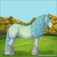 Horse Color:Watercolor Blue Onyx Ice Appaloosa 