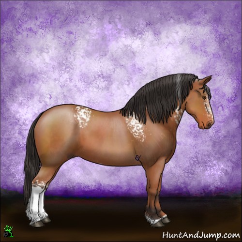 Horse Color:White Spotted Brown Tobiano