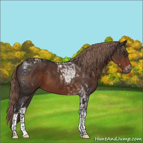 Horse Color:Liver Chestnut Tobiano 