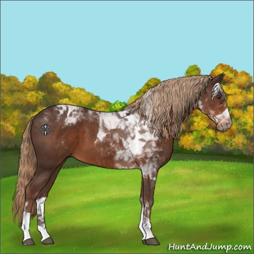 Horse Color:Liver Chestnut Tobiano 