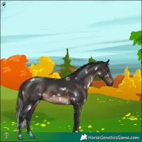 Horse Color:White Spotted Brown Mushroom 