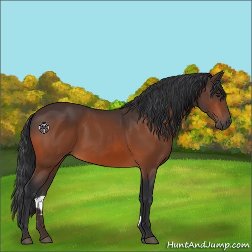 Horse Color:Brown 