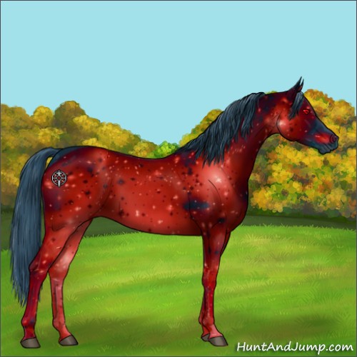 Horse Color:ERROR: UNKNOWN ANOMALY