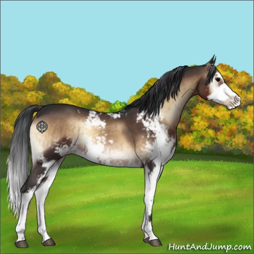 Horse Color:Brown Onyx Sabino Brindle