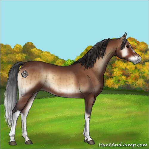 Horse Color:Brown Onyx Brindle 