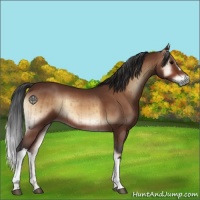 Horse Color:Brown Onyx Brindle 