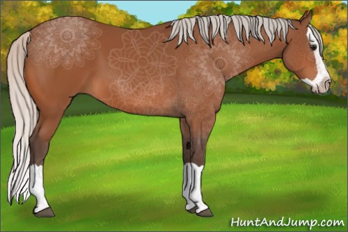 Horse Color:Silver Bay Splash 