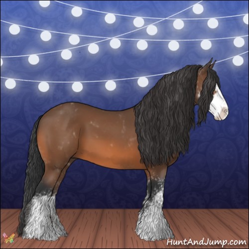 Horse Color:Bay Sabino