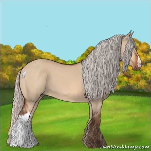 Horse Color:Silver Bay Dun 