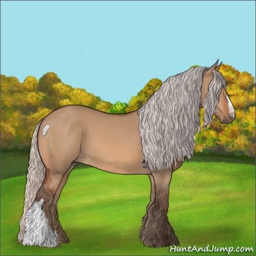 Horse Color:Silver Bay Dun 