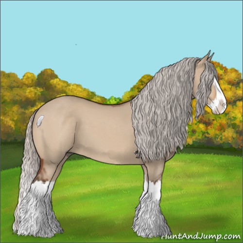 Horse Color:Silver Brown Dun Splash 