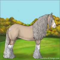 Horse Color:Silver Brown Dun Splash 