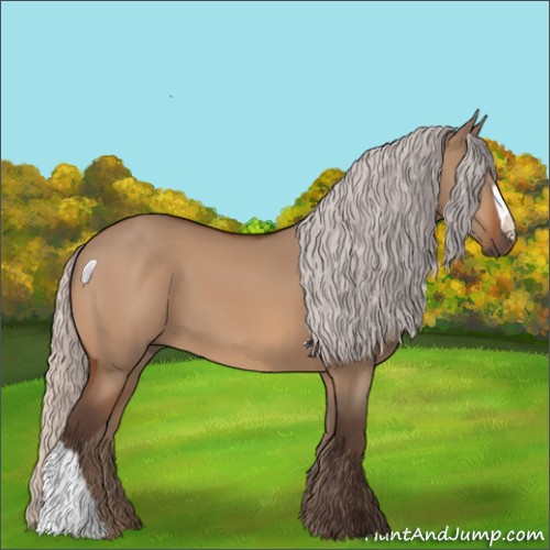 Horse Color:Silver Bay Dun 