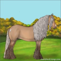 Horse Color:Silver Bay Dun 