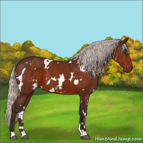 Horse Color:White Spotted Silver Brown 