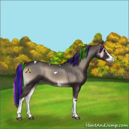 Horse Color:Painted White Spotted Blue Onyx Tobiano 