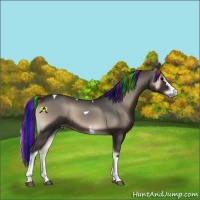 Horse Color:Painted White Spotted Blue Onyx Tobiano 