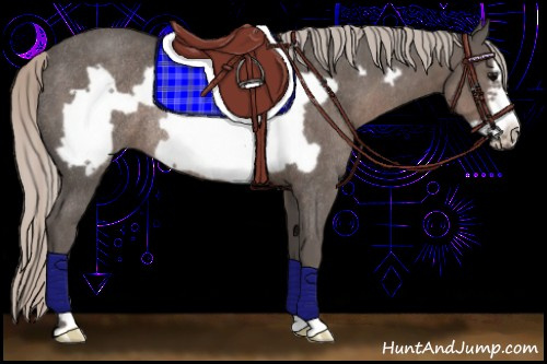 Horse Color:Silver Black Frame Rabicano 