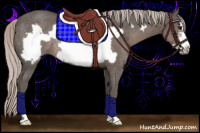 Horse Color:Silver Black Frame Rabicano