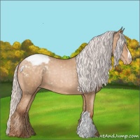 Horse Color:Silver Buckskin Pearl Appaloosa 