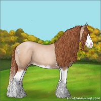 Horse Color:Buckskin Roan Pearl Splash 