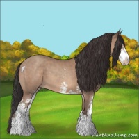 Horse Color:Sable Champagne Sabino 