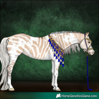 Horse Color:White Spotted Silver Bay Dun 