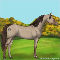 Horse Color:Liver Red Dun