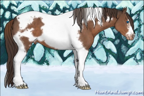 Horse Color:Liver Chestnut Tobiano Frame Varnish