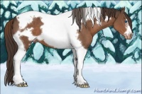 Horse Color:Liver Chestnut Tobiano Frame Varnish 