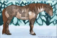 Horse Color:Brown Ice Pearl  and Brown Ice Pearl 