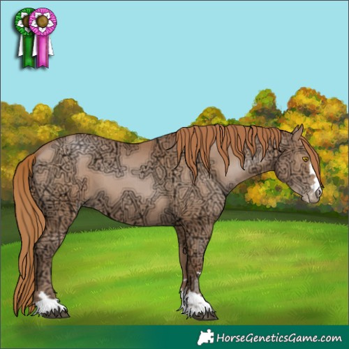Horse Color:Bay Ice Pearl 