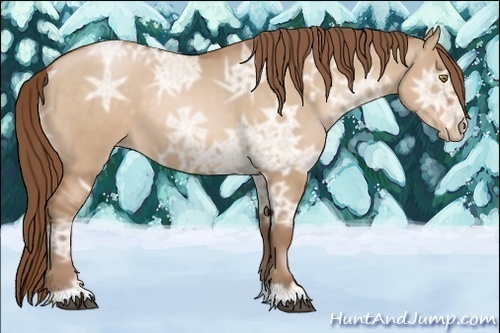 Horse Color:Brown Ice Pearl Dun 
