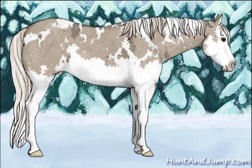 Horse Color:White Spotted Silver Grullo Ice Splash 