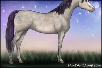 Horse Color:Painted Brown Ice Dun 