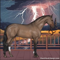 Horse Color:Brown Dun 