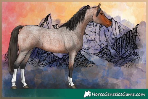 Horse Color:Bay Roan Tobiano 