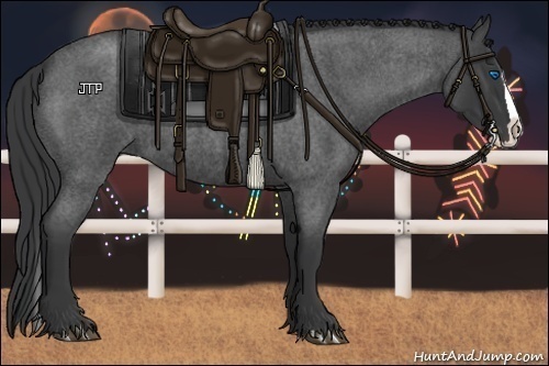 Horse Color:Blue Roan Splash 