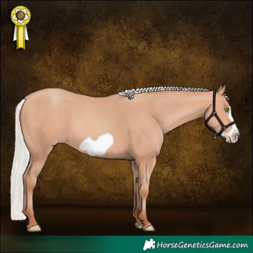 Horse Color:Silver Amber Champagne Frame 