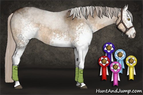 Horse Color:White Spotted Silver Buckskin Roan Dun 