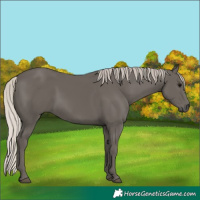Horse Color:Silver Black 