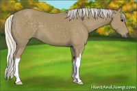 Horse Color:Silver Smoky Black 