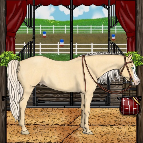 Horse Color:Gold Cream Champagne Roan Splash 
